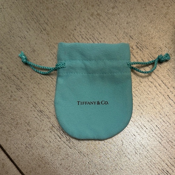 Tiffany & Co. Accessories - Tiffany & Co. Turquoise Jewelry Pouch